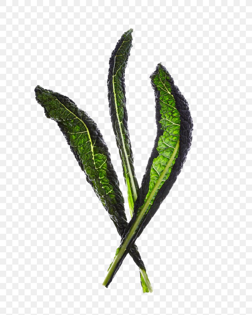 Leaf Vegetable Leaf Vegetable Lettuce, PNG, 678x1024px, Leaf, Cheese, Cooking, Food, Ingredient Download Free