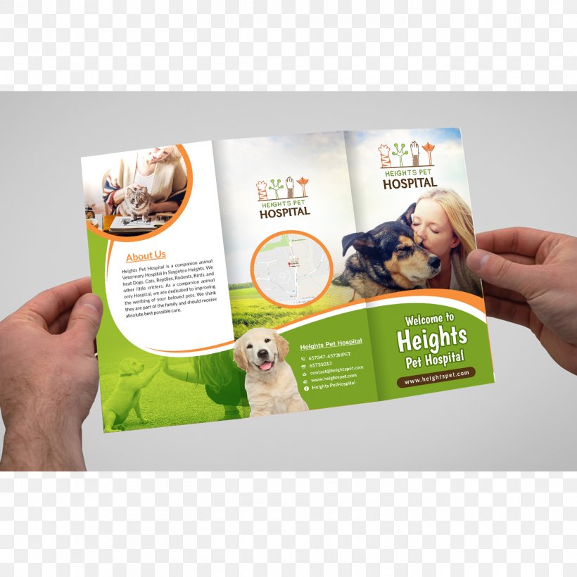 Brochure Brand, PNG, 1400x1400px, Brochure, Advertising, Brand Download Free