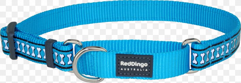Dingo Dog Collar Martingale, PNG, 3000x1045px, Dingo, Aqua, Blue, Bones, Collar Download Free