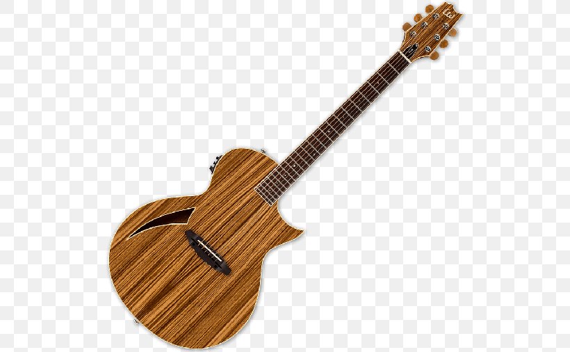 Acoustic Guitar Acoustic-electric Guitar ESP Guitars, PNG, 520x506px, Watercolor, Cartoon, Flower, Frame, Heart Download Free