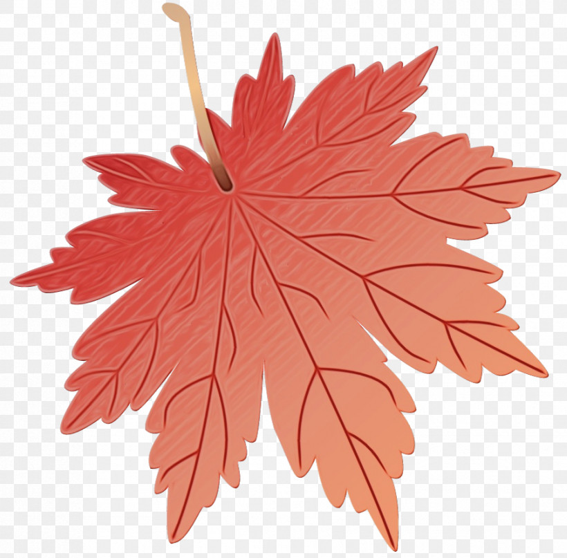 Leaf Flower Maple Leaf / M Petal Tree, PNG, 903x889px, Watercolor, Biology, Flower, Leaf, Maple Leaf M Download Free