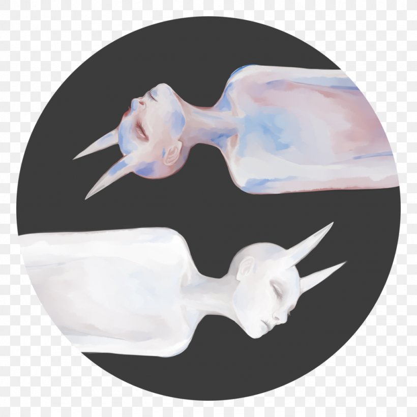 Plastic Bone, PNG, 1024x1024px, Plastic, Bone, Wing Download Free