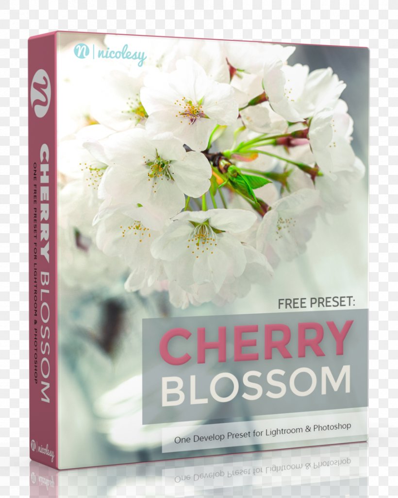 Adobe Lightroom Photography Computer Software Adobe Systems, PNG, 900x1125px, Adobe Lightroom, Adobe Camera Raw, Adobe Systems, Blossom, Cherry Blossom Download Free