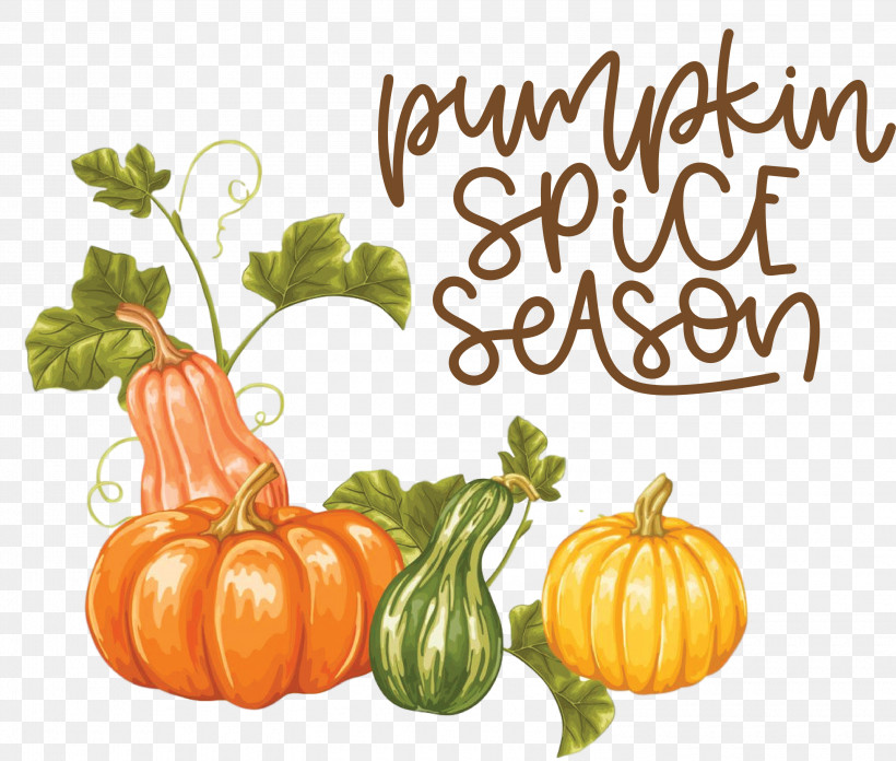Autumn Pumpkin Spice Season Pumpkin, PNG, 3000x2547px, Autumn, Gourd, Pumpkin, Royaltyfree, Squash Download Free