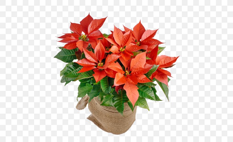 Floral Design Artificial Flower Cut Flowers Flowerpot, PNG, 500x500px, Floral Design, Artificial Flower, Common Daisy, Conifer Cone, Cut Flowers Download Free