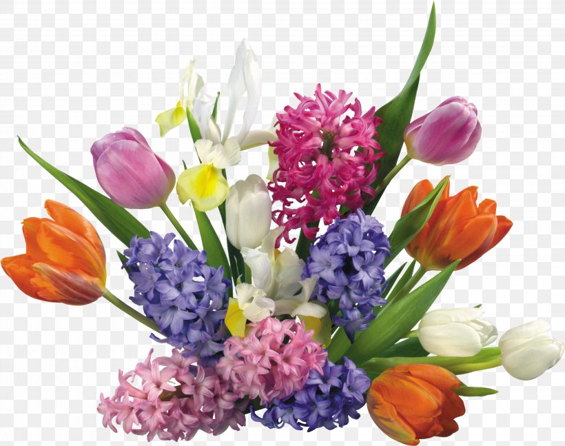 International Women's Day Woman Holiday Flower March 8, PNG, 4360x3444px, International Women S Day, Cut Flowers, Floral Design, Floristry, Flower Download Free