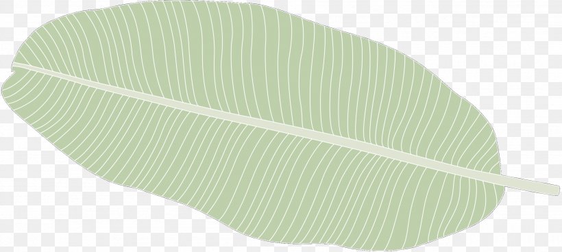 Product Design Leaf Line, PNG, 2571x1156px, Leaf, Green, Yellow Download Free
