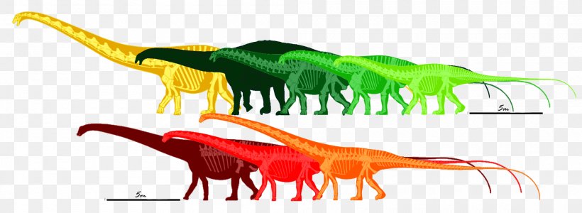 Seismosaurus Barosaurus Apatosaurus Supersaurus Mamenchisaurus, PNG, 2000x733px, Seismosaurus, Allosaurus, Amphicoelias, Animal Figure, Apatosaurus Download Free