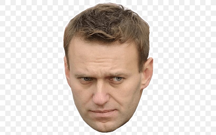 Alexei Navalny Russian Presidential Election, 2018 Anti-Corruption Protests In Russia (2017-03-26) Politician, PNG, 512x512px, Alexei Navalny, Anticorruption Foundation, Cheek, Chin, Close Up Download Free