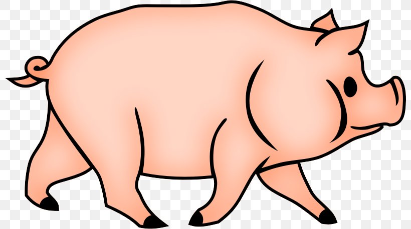 Domestic Pig Clip Art Drawing Coloring Book, PNG, 800x458px, Domestic Pig, Animal, Animal Figure, Artwork, Cartoon Download Free