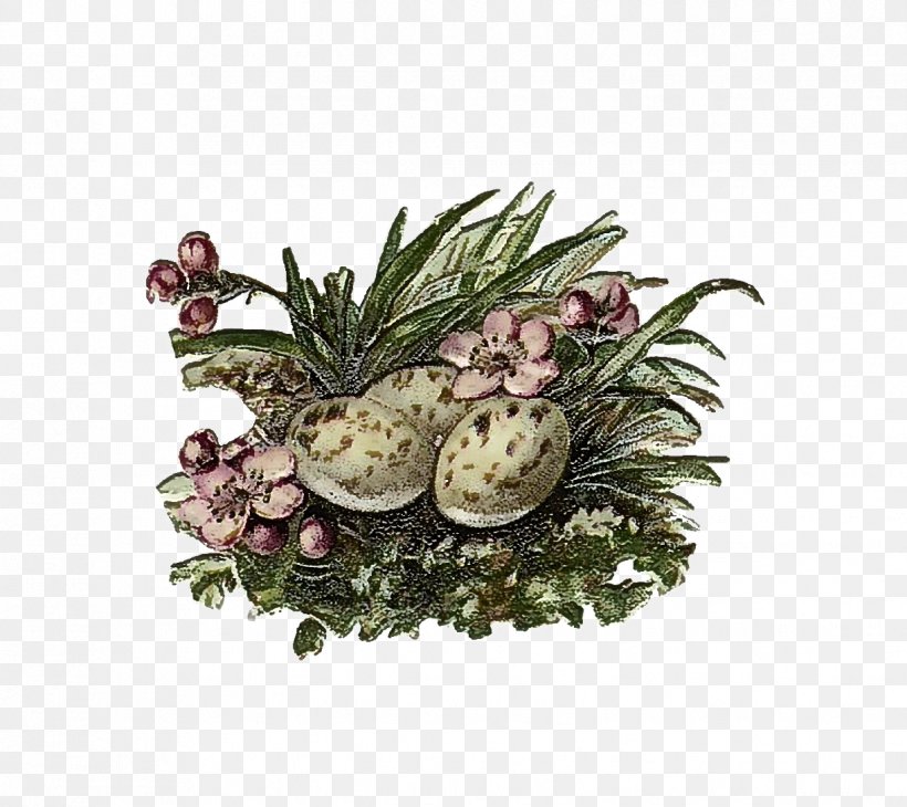 Pineapple, PNG, 1223x1090px, Plant, Fir, Flower, Fruit, Grass Download Free