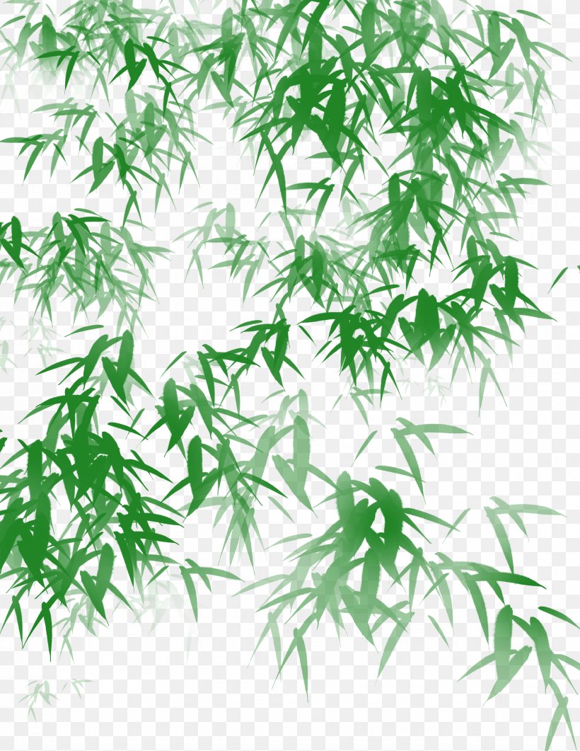Bamboo Shoot Leaf Icon, PNG, 2550x3300px, Bamboo, Bamboo Charcoal, Bamboo Shoot, Cannabis, Cartoon Download Free