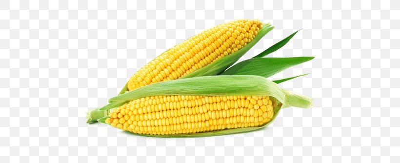 Corn On The Cob Maize Corncob Sweet Corn Corn Kernel, PNG, 500x334px, Corn On The Cob, Cereal, Commodity, Corn Flakes, Corn Kernel Download Free