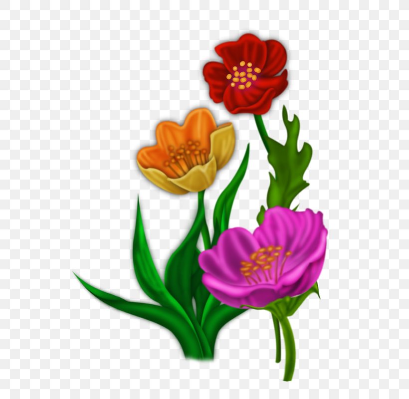 Drawing Red Cartoon Yellow, PNG, 571x800px, Drawing, Animation, Cartoon, Color, Cut Flowers Download Free