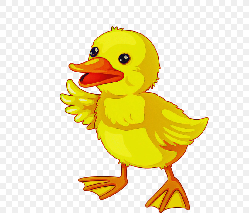 Social Media, PNG, 555x700px, Duck, Animation, Cartoon, Chicken, Drawing Download Free