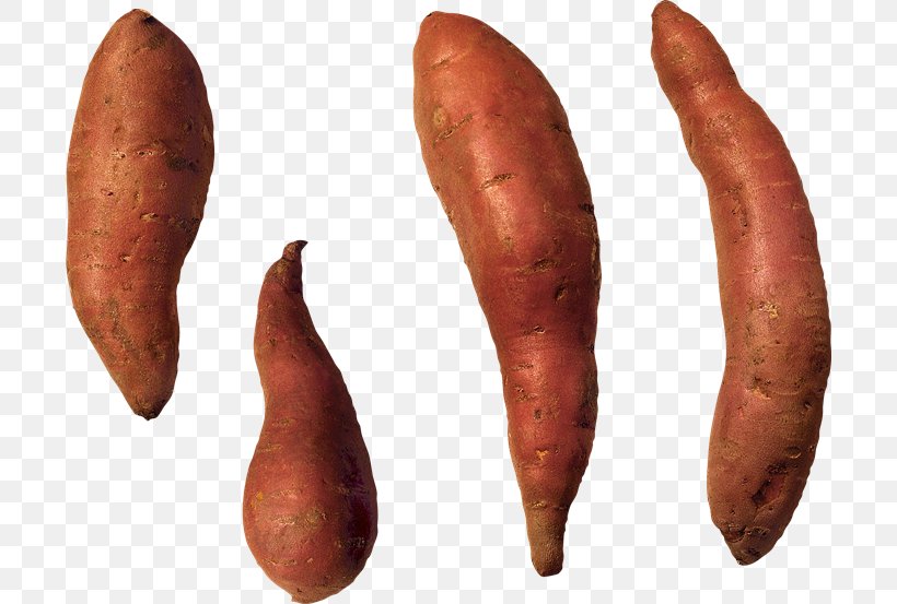 Sweet Potato Cooking Vegetable Tuber, PNG, 700x553px, Sweet Potato, Animal Source Foods, Bockwurst, Bologna Sausage, Boudin Download Free