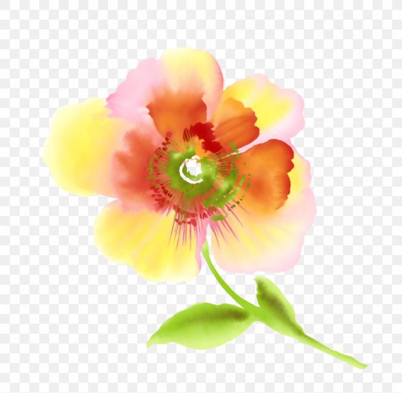 The Scarlet Flower Drawing Clip Art, PNG, 904x884px, Flower, Child, Common Sunflower, Cut Flowers, Digital Image Download Free