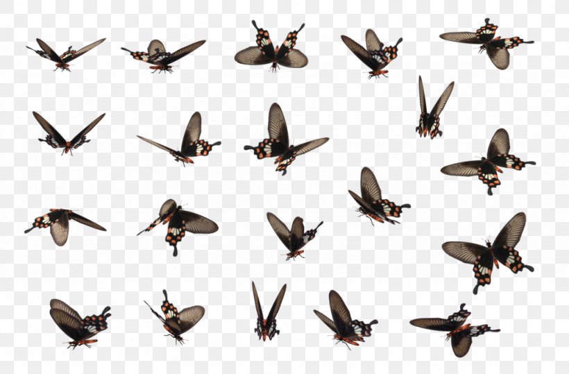 Sprite Butterfly Animated Film, PNG, 1024x674px, 2d Computer Graphics, Sprite, Animal Migration, Animated Film, Beautifly Download Free