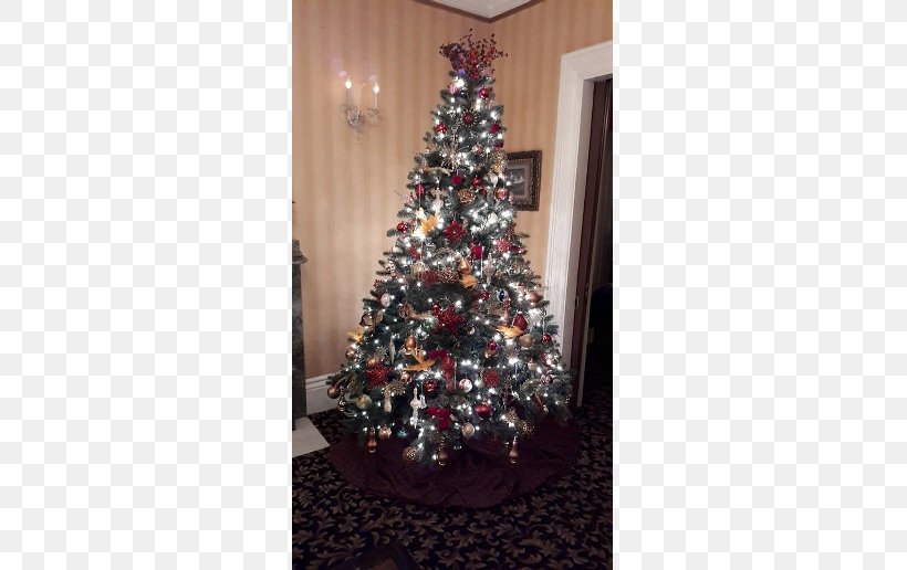 Christmas Tree Christmas Ornament Spruce Fir, PNG, 774x516px, Christmas Tree, Christmas, Christmas Decoration, Christmas Ornament, Decor Download Free