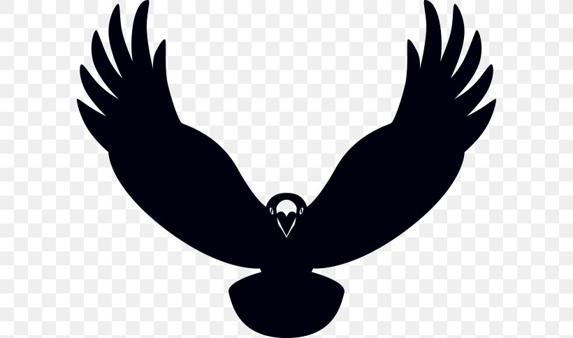 Eagle Beak Black Silhouette Clip Art, PNG, 600x484px, Eagle, Beak, Bird, Bird Of Prey, Black Download Free