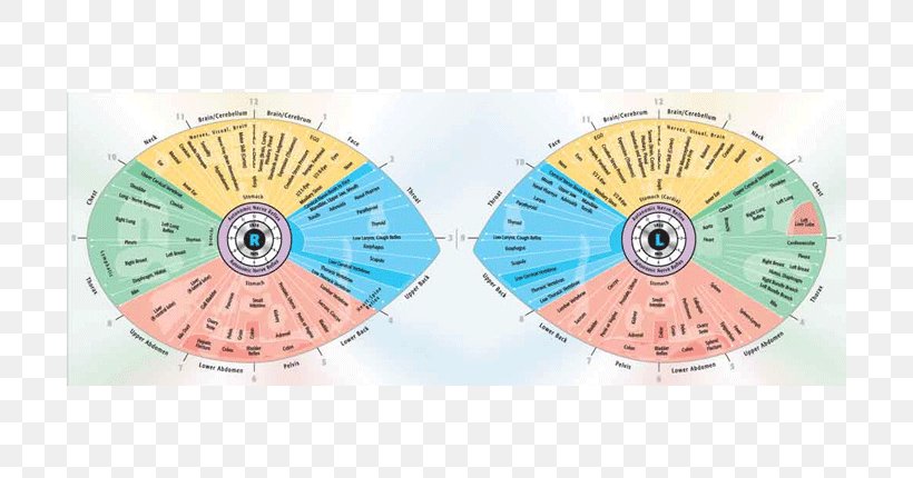 Iridology Iris Sclera Eye Reflexology, PNG, 700x430px, Iridology, Alternative Health Services, Chart, Eye, Eye Chart Download Free