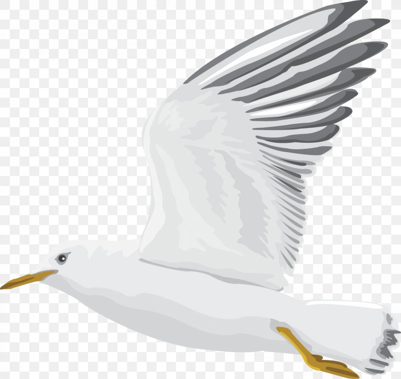 Homing Pigeon Pigeons And Doves Racing Homer Bird Pigeon Post, PNG, 1667x1577px, Homing Pigeon, Beak, Bird, Domestic Pigeon, Ducks Geese And Swans Download Free