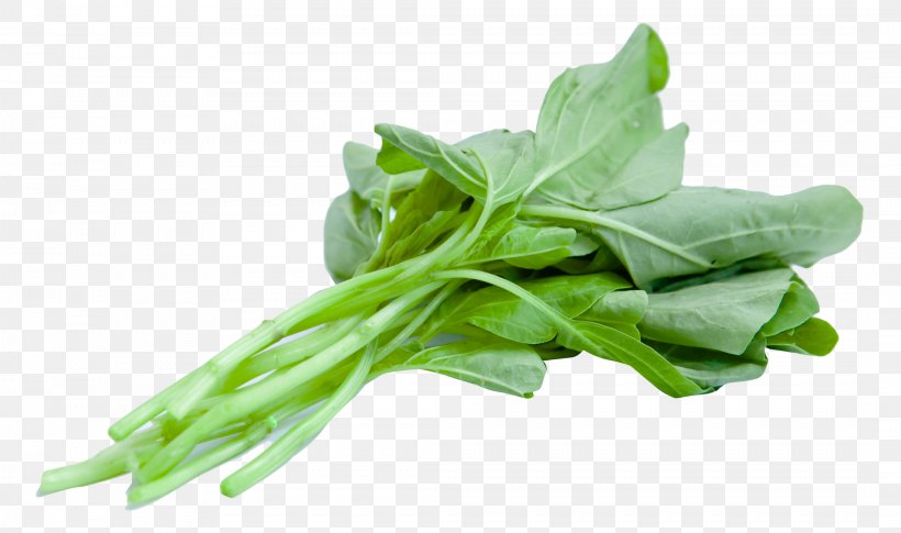 Juice Spinach Leaf Vegetable, PNG, 2132x1262px, Juice, Broccoli, Chard, Choy Sum, Collard Greens Download Free
