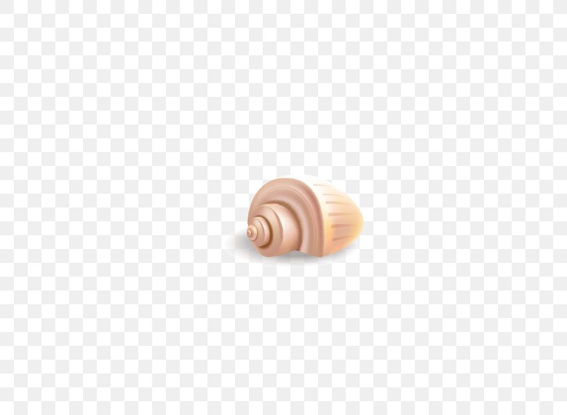 Snail Nautilida, PNG, 600x600px, Snail, Nautilida, Peach, Seashell, Snails And Slugs Download Free