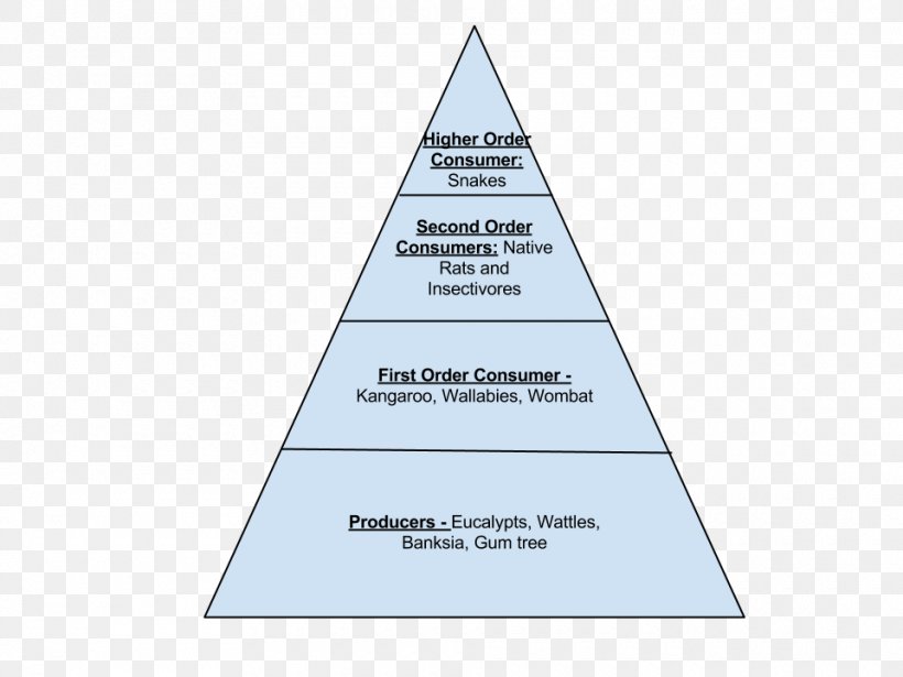 Triangle Area Pyramid Diagram, PNG, 960x720px, Triangle, Area, Brand, Cone, Diagram Download Free