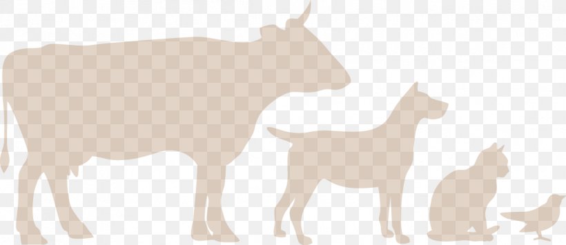 Cattle Deer Goat Sheep Dog, PNG, 1144x496px, Cattle, Canidae, Cartoon, Cattle Like Mammal, Cow Goat Family Download Free