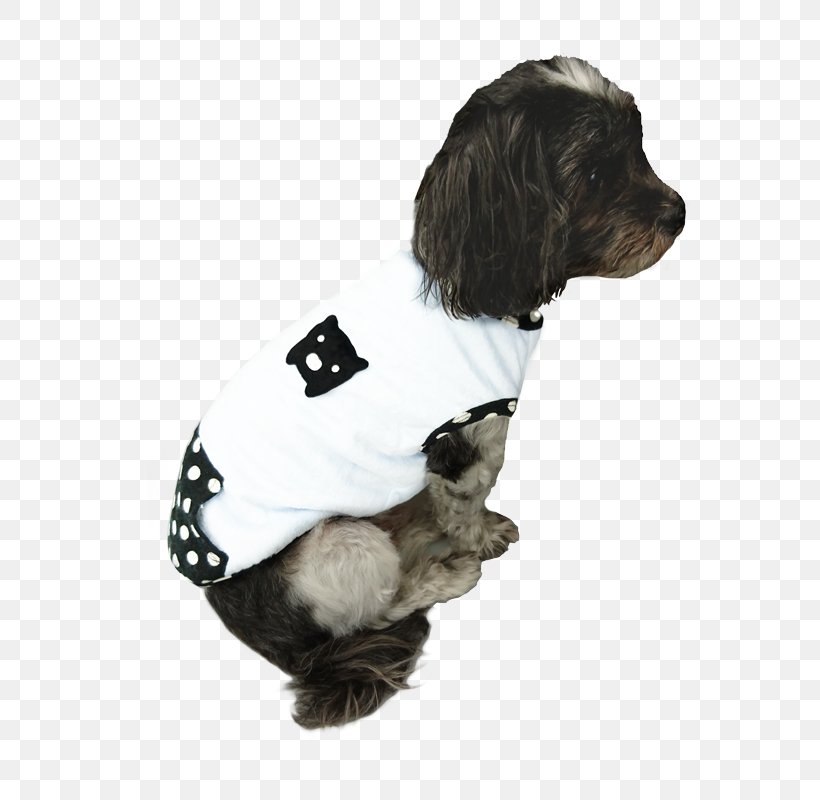 Dog Breed Puppy Companion Dog Dog Clothes, PNG, 800x800px, Dog Breed, Breed, Clothing, Companion Dog, Crossbreed Download Free