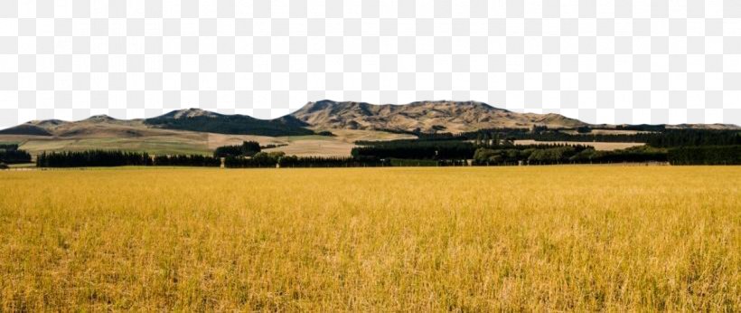 Farm Harvest Grassland Crop Plain, PNG, 1182x500px, Farm, Agriculture, Commodity, Crop, Family Download Free