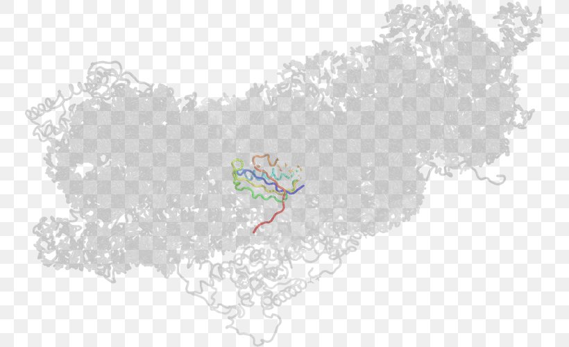 Map Tree Tuberculosis Sky Plc, PNG, 747x500px, Map, Area, Sky, Sky Plc, Tree Download Free