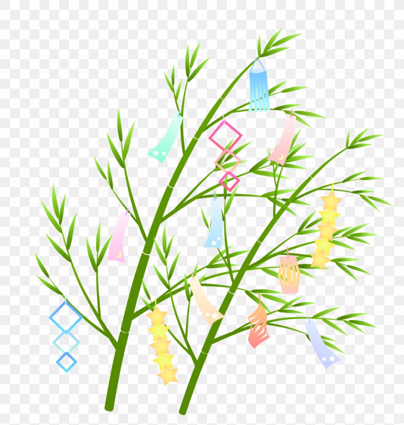 Tanabata, PNG, 950x1000px, Qixi Festival, Botany, Branch, Chamomile, East Asian Rainy Season Download Free