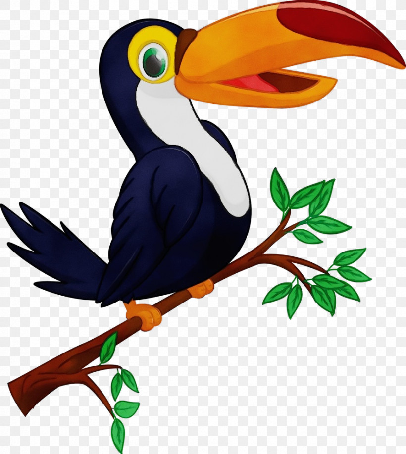 Bird Toucan Beak Hornbill Piciformes, PNG, 894x1000px, Watercolor, Beak, Bird, Coraciiformes, Hornbill Download Free