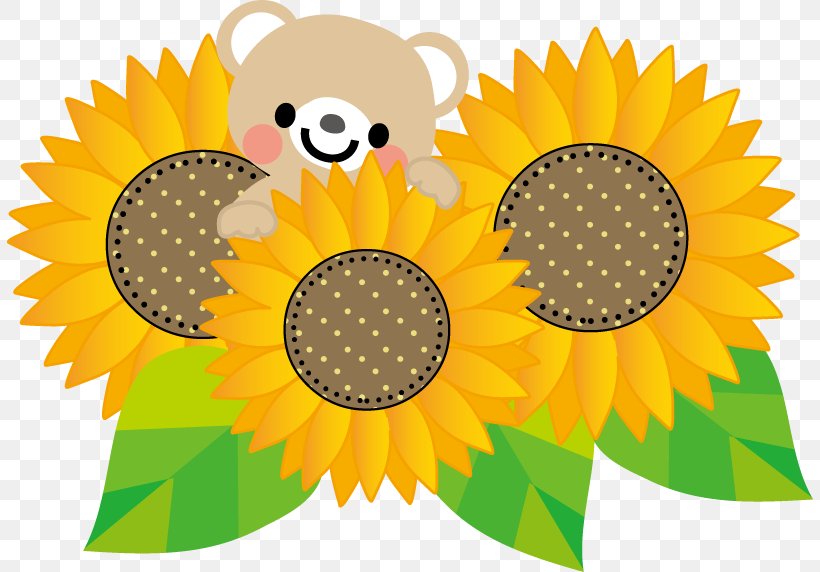 Common Sunflower Skin Care Clip Art, PNG, 806x572px, Common Sunflower, Daisy Family, Flower, Flowering Plant, Food Download Free