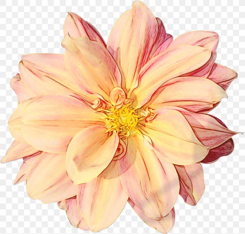 Dahlia Floristry Cut Flowers Petal, PNG, 1282x1224px, Dahlia, Artificial Flower, Blossom, Chrysanths, Cut Flowers Download Free