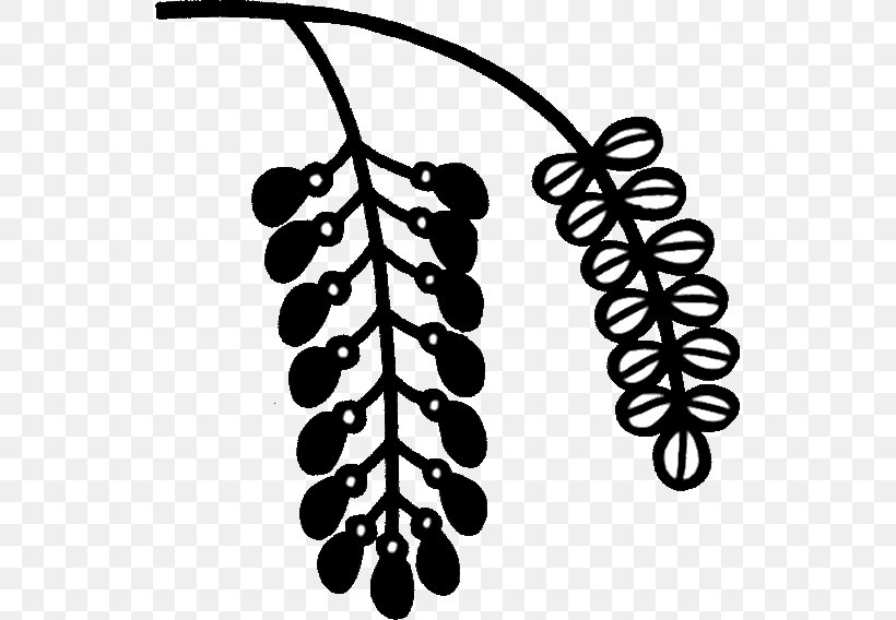 Grape Line White Clip Art, PNG, 535x568px, Grape, Black And White, Branch, Flowering Plant, Food Download Free