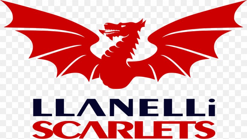 Parc Y Scarlets Guinness PRO14 European Rugby Champions Cup Llanelli RFC, PNG, 1024x579px, Scarlets, Artwork, Brand, Dragons, Edinburgh Rugby Download Free