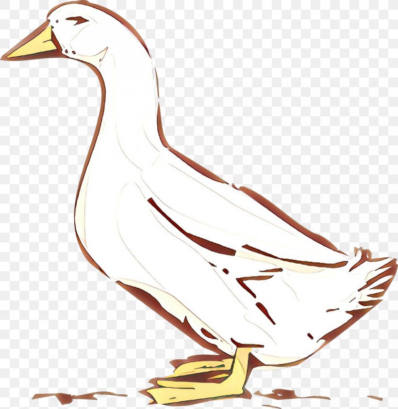 Bird Beak Water Bird Duck Goose, PNG, 1243x1280px, Cartoon, Beak, Bird, Duck, Ducks Geese And Swans Download Free