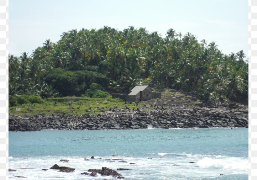 Devil's Island Bagne Saint-Joseph Island Saint-Laurent-du-Maroni, PNG, 1000x700px, Bagne, Archipelago, Bay, Beach, Cape Download Free