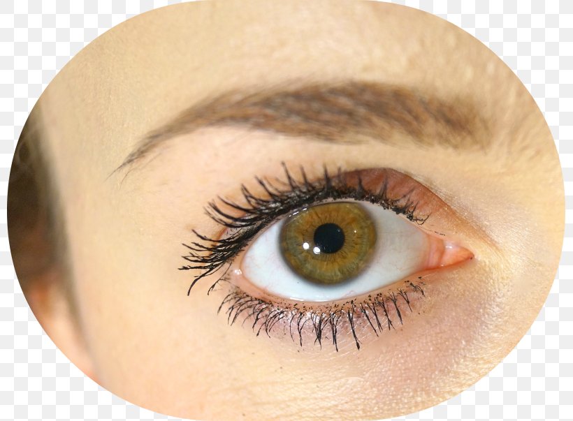 Eyelash Extensions Mascara Close Up GmbH Eye Liner, PNG, 799x603px, Watercolor, Cartoon, Flower, Frame, Heart Download Free