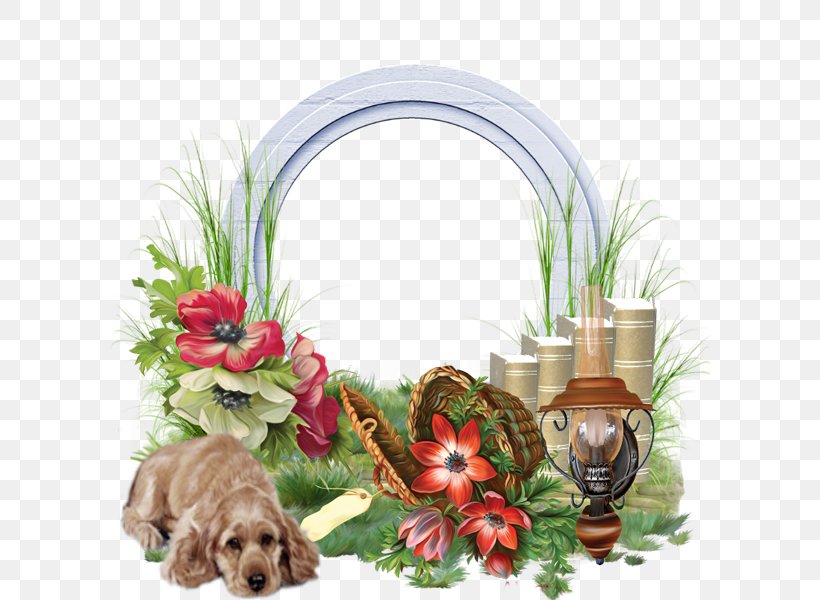 Floral Design Humour Comedy, PNG, 600x600px, 2017, 2018, 2019, Floral Design, Animal Download Free