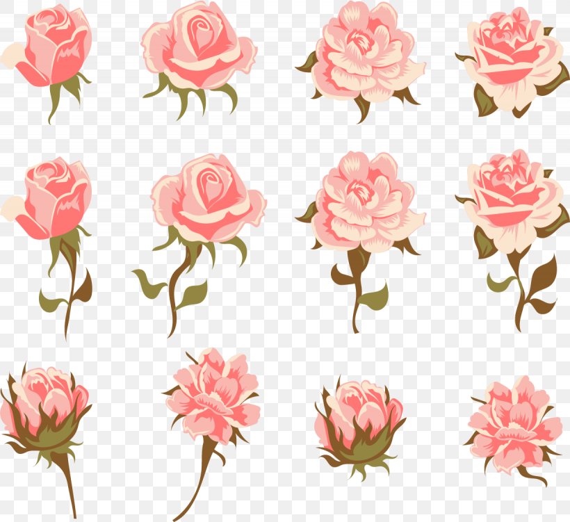 Garden Roses Centifolia Roses Pink Flower Vintage Clothing, PNG, 1230x1127px, Garden Roses, Artificial Flower, Centifolia Roses, Cut Flowers, Flora Download Free
