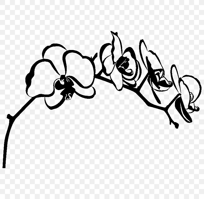 Orchids Silhouette Drawing, PNG, 800x800px, Orchids, Area, Art, Artwork, Black Download Free