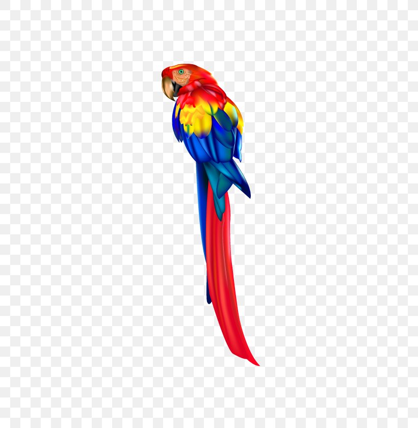 Parrot Bird Macaw Clip Art, PNG, 592x840px, Parrot, Beak, Bird, Bird Food, Drawing Download Free
