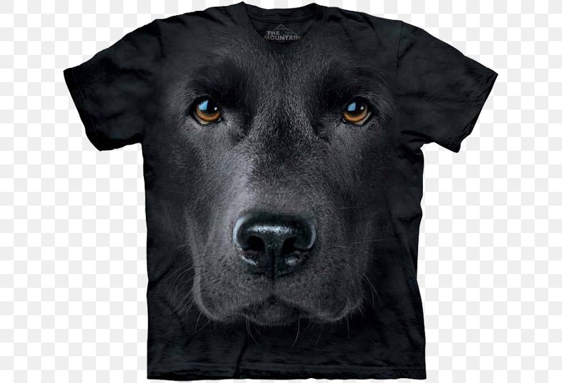 Long-sleeved T-shirt Labrador Retriever Clothing, PNG, 640x559px, Tshirt, Animal, Bluza, Carnivoran, Clothing Download Free