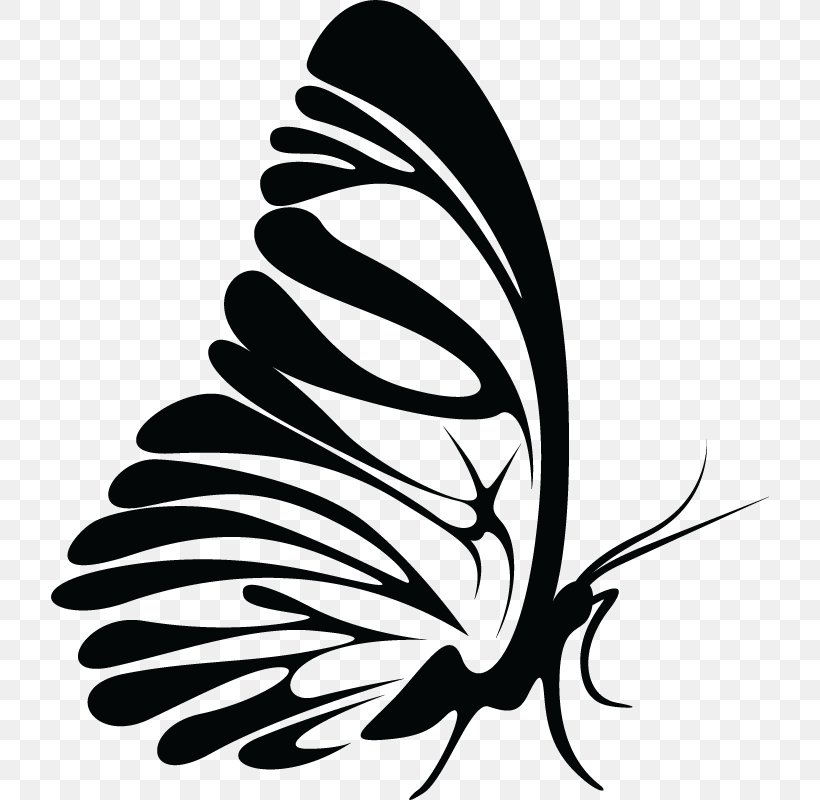 Monarch Butterfly Brush-footed Butterflies Insect Clip Art, PNG, 800x800px, Monarch Butterfly, Arthropod, Black And White, Brush Footed Butterfly, Brushfooted Butterflies Download Free