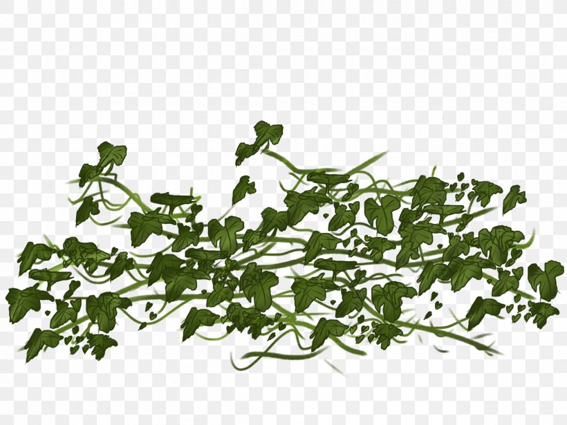 Vine Ivy Clip Art, PNG, 2400x1800px, Vine, Bitmap, Branch, Flora, Flower Download Free