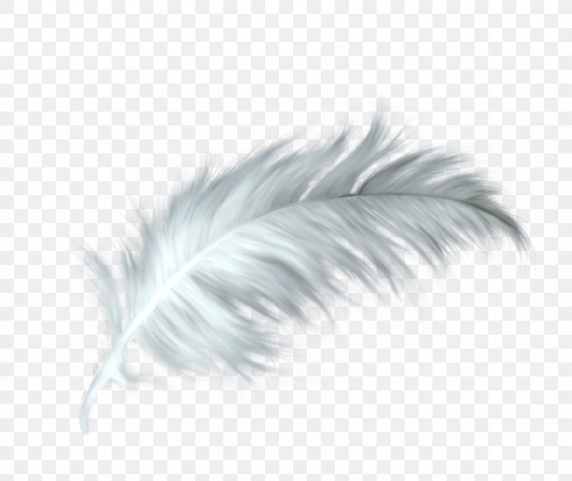 White Feather Healing Quill Paris, PNG, 896x754px, Feather, Animal, Black And White, Child, Gift Download Free